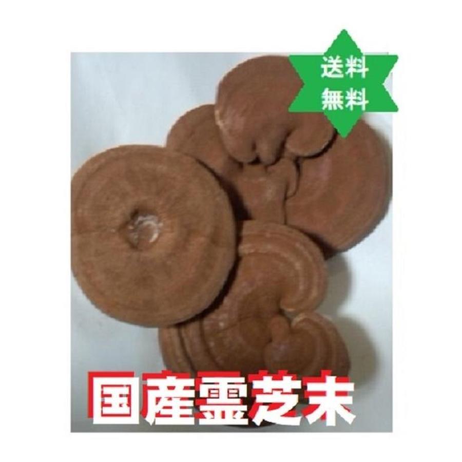 健康食品】レイシ 霊芝末500g 霊芝国産信州100% 茶葉 無添加 漢方