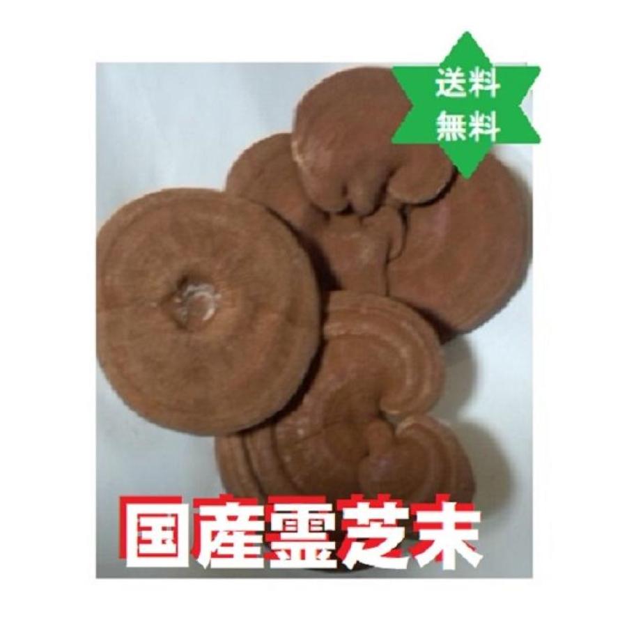 霊芝 ( 赤芝 ) 子実体滅菌 粉末 1kg 日本産 健康食品