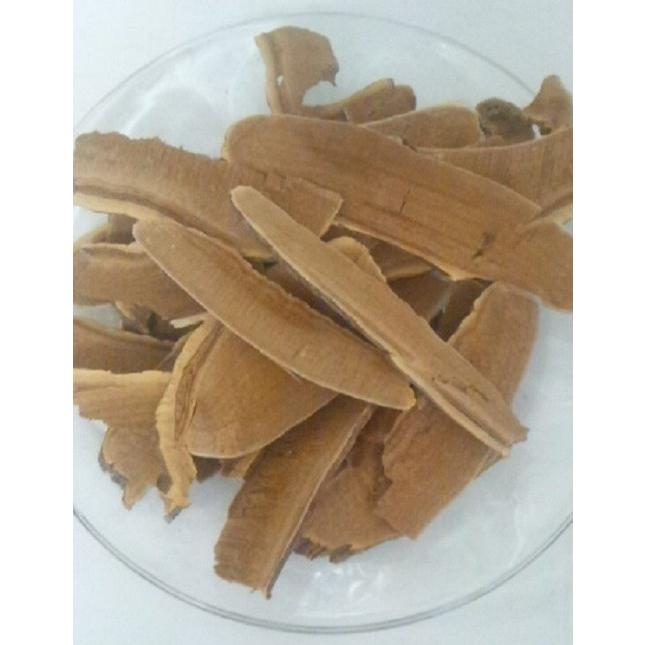 霊芝 健康食品 活龍 煎じ品 スライス切り 【公式通販】