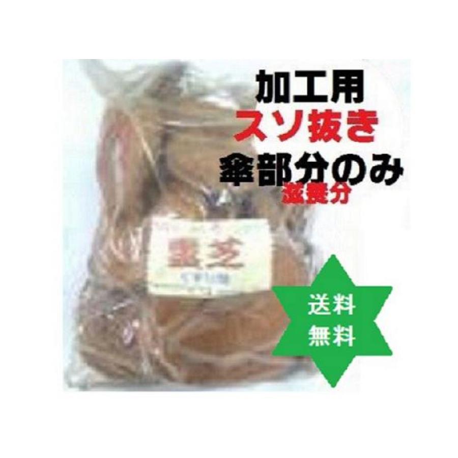 霊芝 健康食品 活龍 煎じ品 スライス切り 【公式通販】