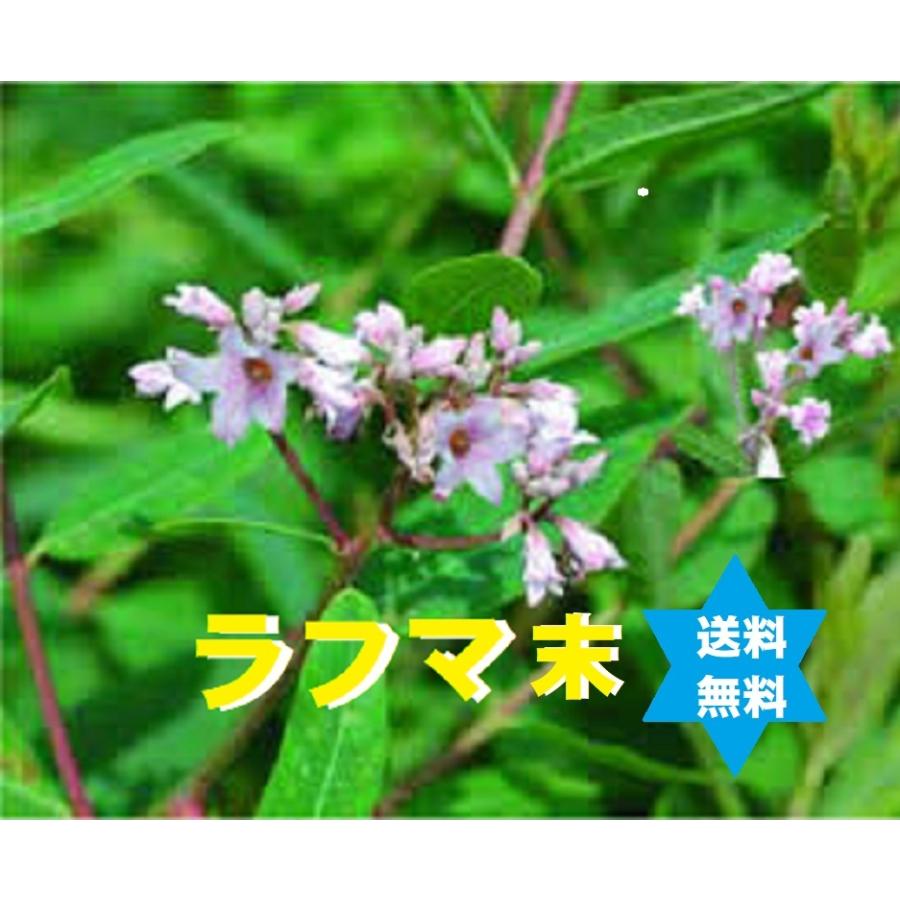 ラフマパウダー ラフマ茶末500g(1袋)羅布麻茶(紅)滅菌 無添加100 