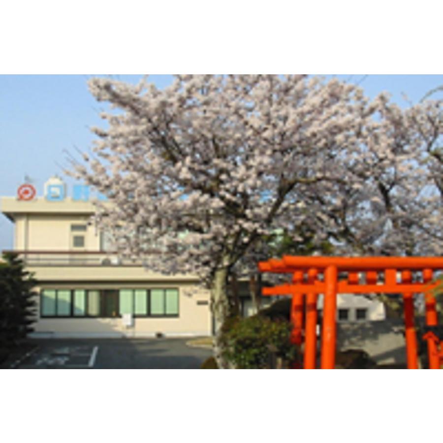 日野薬品工業 【医薬部外品 】レイザントウ 麗山湯10個(30g5袋入り
