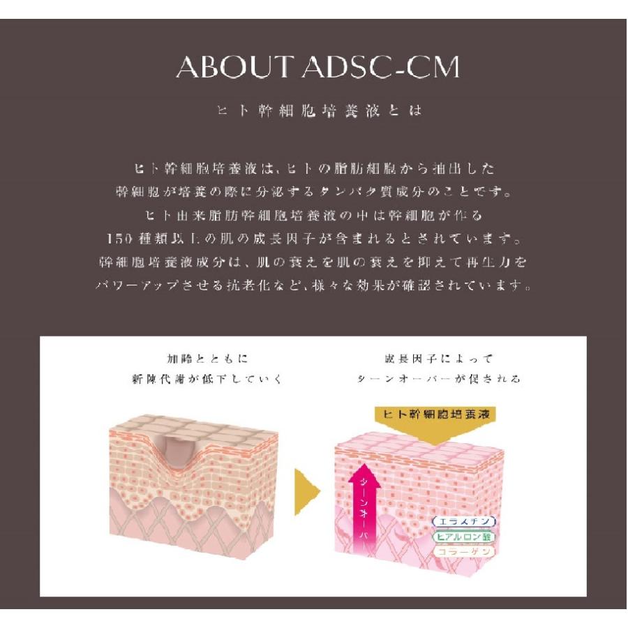 高濃度ヒト幹細胞上清液　Incellインセルno.8　ナンバー８　ナイトクリーム 