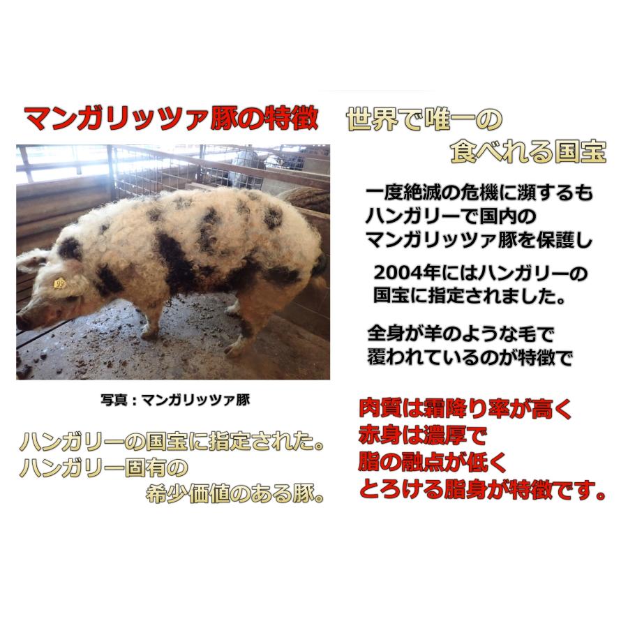 福島 あだたら豚 極LDM 三元豚 マンガリッツァ豚 豚肩ロース 産地直送