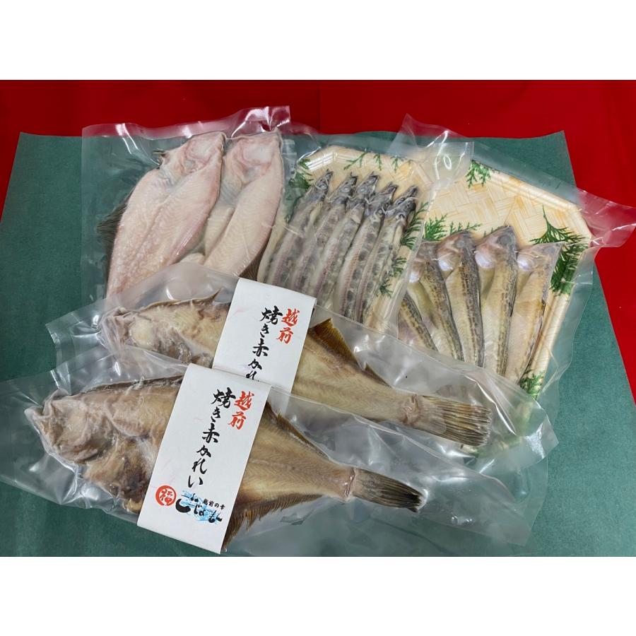 産地直送 送料無料【越前漁師 福丸】 海鮮ギフトA　（別途送料：北海道は550円、青森・秋田・岩手・四国・九州は220円、沖縄は990円、離島は別途送料）｜oky-yokocho｜09