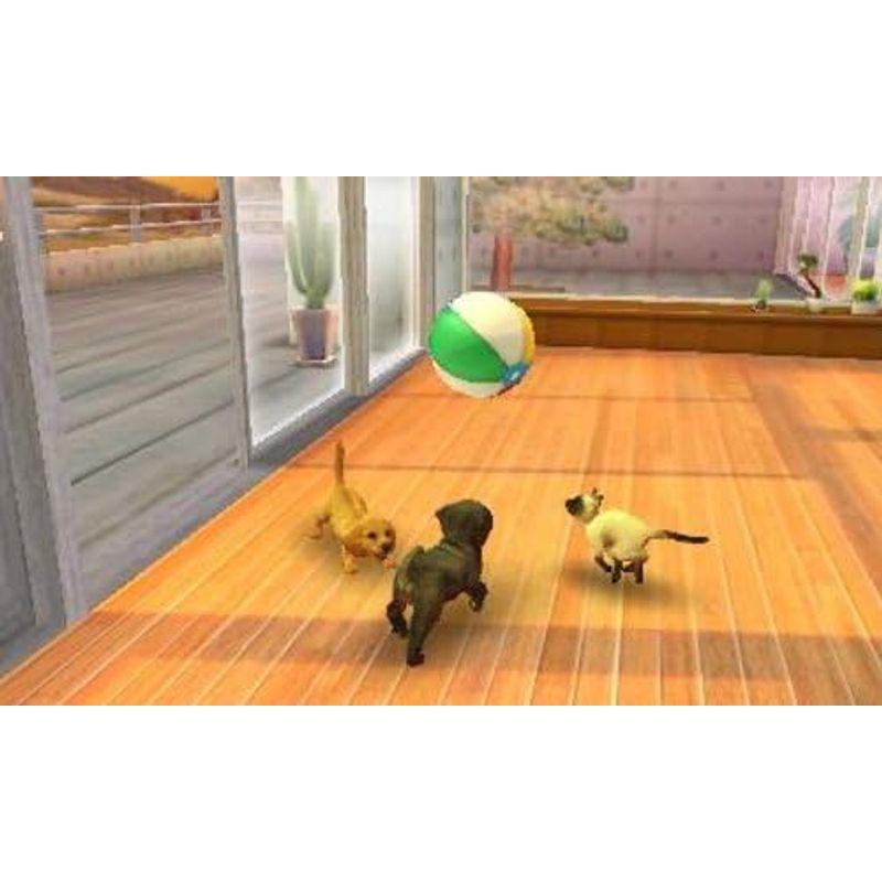 nintendogs + cats フレンチ・ブル & Newフレンズ - 3DS｜olc-store｜07