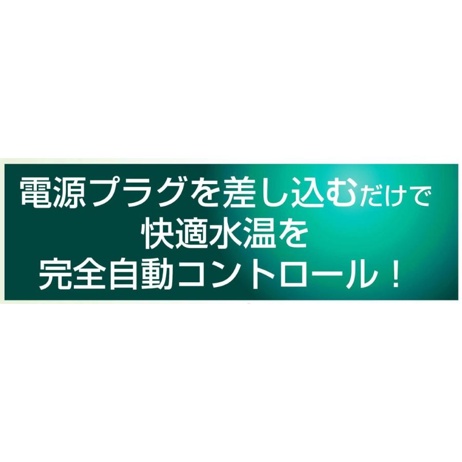 エヴァリス プリセットオートヒーター Ar80 80w 満点の