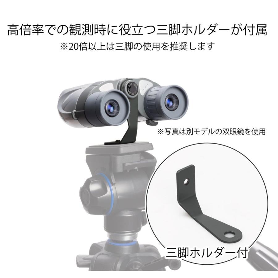 Kenko 双眼鏡 V-TEX 18~100×28 ポロプリズム式 18倍~100倍 28口径 シルバー VT-8100 