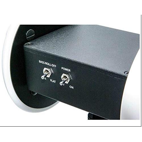 「超メルカリ市」 米3Dioのバイノーラル録音用マイク Free Space 【U1363767774】(48980円)