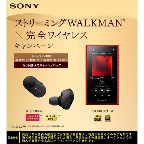 ソニー SONY ウォークマン 64GB Aシリーズ NW-A107 : ハイレゾ対応