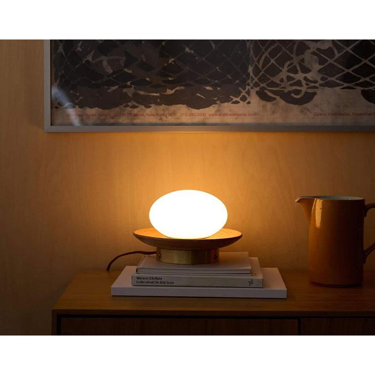 ACME FURNITURE アクメファニチャー 家具 LUCCA WALL&TABLE LAMP　ルッカ ウォールランプ |  | 09