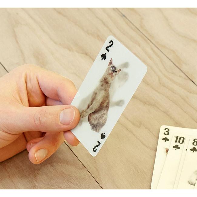 3D Cat Cards KIKKERLAND 3Dキャットカード 猫のトランプ |  | 03