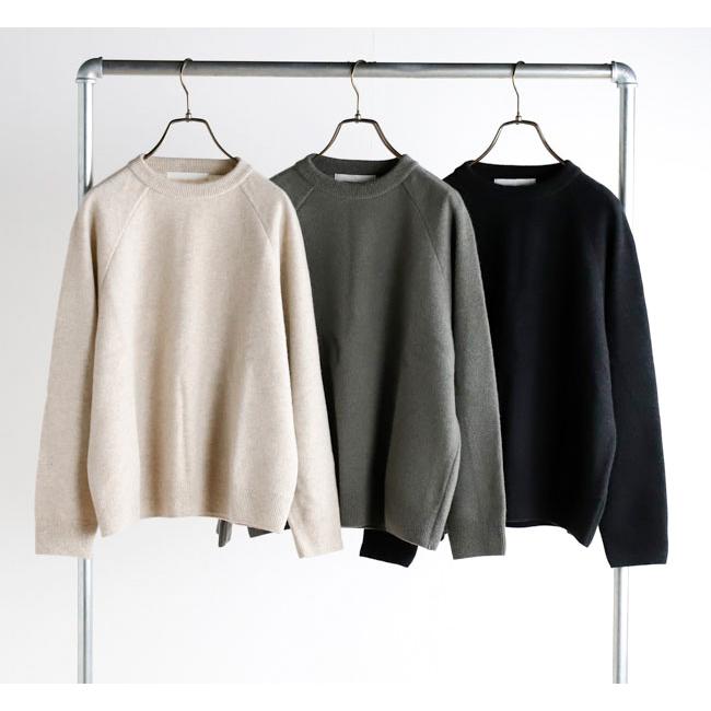 evam eva エヴァムエヴァ E253K176 プレスウール ラグランプルオーバー press wool raglan pullover |  | 06