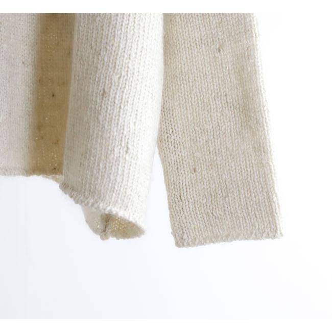 evam eva エヴァムエヴァ E253K220 ローゲージ タートルネック low gauge turtleneck |  | 13