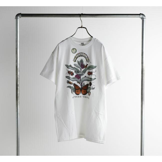 会場限定　リトグリ Tシャツ Little Glee Monster | Information
