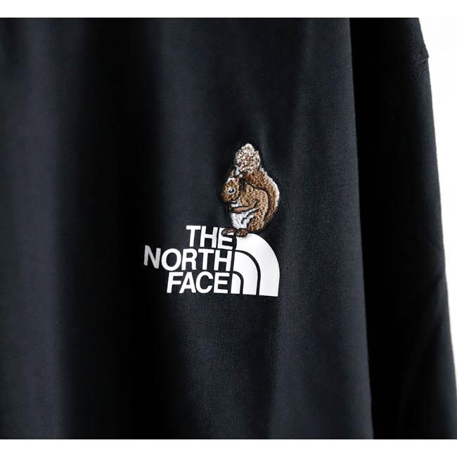 THE NORTH FACE ザノースフェイス NT82645 ロングスリーブフラッシュドライズーピッカーティー 長袖Tシャツ |  | 18