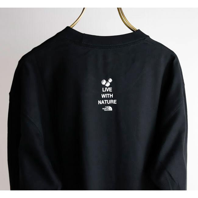 THE NORTH FACE ザノースフェイス NT82645 ロングスリーブフラッシュドライズーピッカーティー 長袖Tシャツ |  | 19