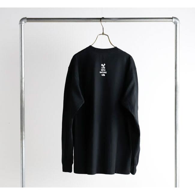 THE NORTH FACE ザノースフェイス NT82645 ロングスリーブフラッシュドライズーピッカーティー 長袖Tシャツ |  | 09