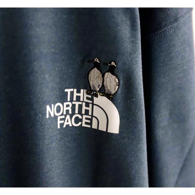 THE NORTH FACE ザノースフェイス NT32658 ロングスリーブズーピッカーティー |  | 13