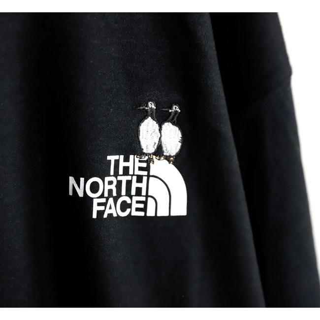 THE NORTH FACE ザノースフェイス NT32658 ロングスリーブズーピッカーティー |  | 18