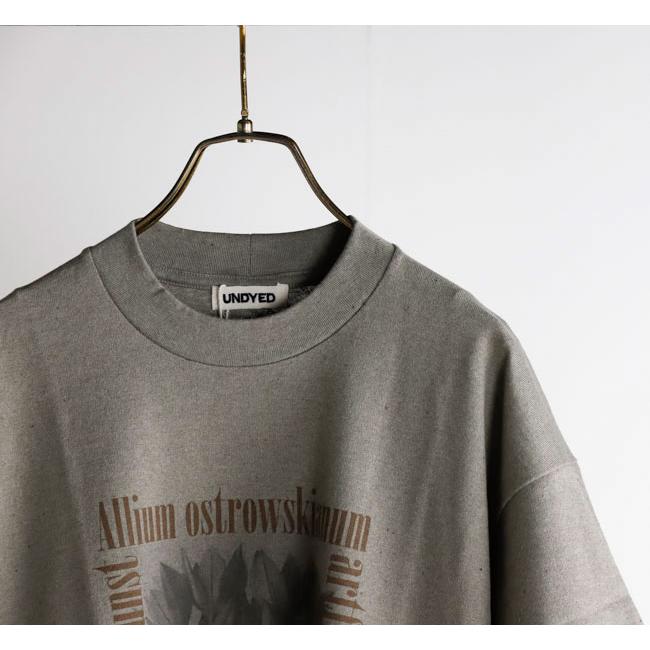 UNDYED STANDARD アンダイドスタンダード 26S348C プリントTシャツ 30/2 Karl Blossfeldt Pt-T (ALLIUM) |  | 12