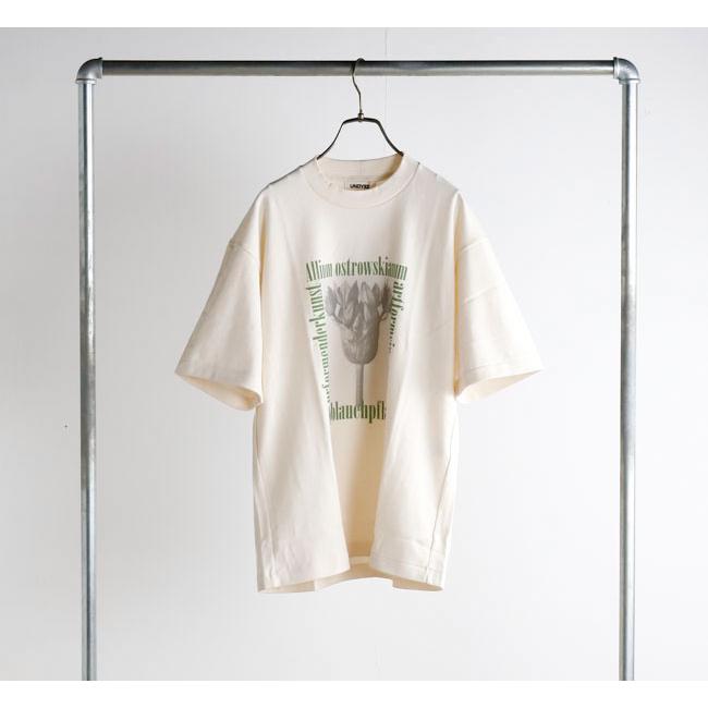 UNDYED STANDARD アンダイドスタンダード 26S348C プリントTシャツ 30/2 Karl Blossfeldt Pt-T (ALLIUM) |  | 01