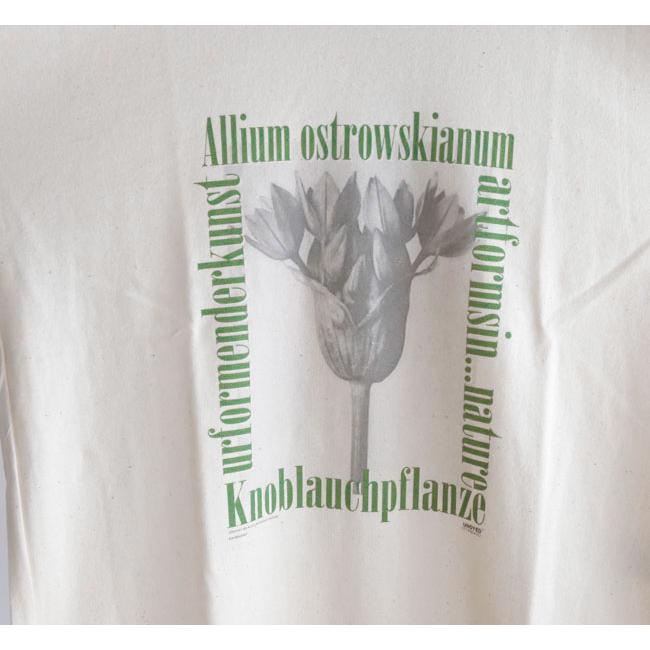UNDYED STANDARD アンダイドスタンダード 26S348C プリントTシャツ 30/2 Karl Blossfeldt Pt-T (ALLIUM) |  | 05