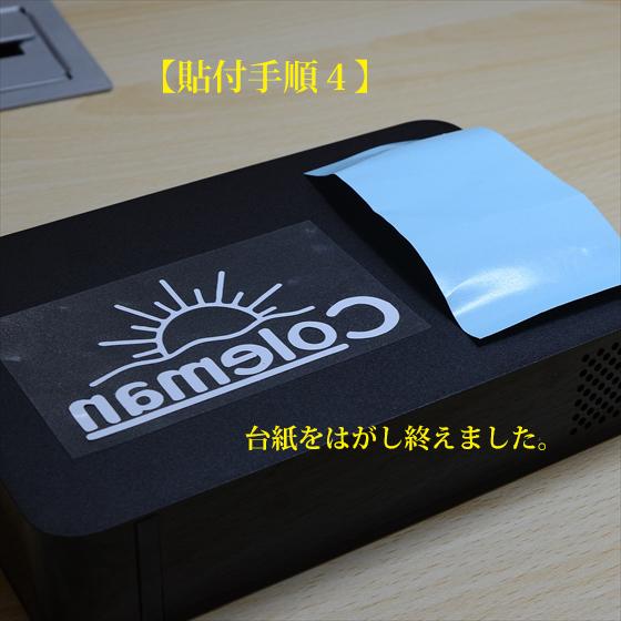 Coleman（コールマン） サンシャイン ステッカー サイズ小 緑色 D931