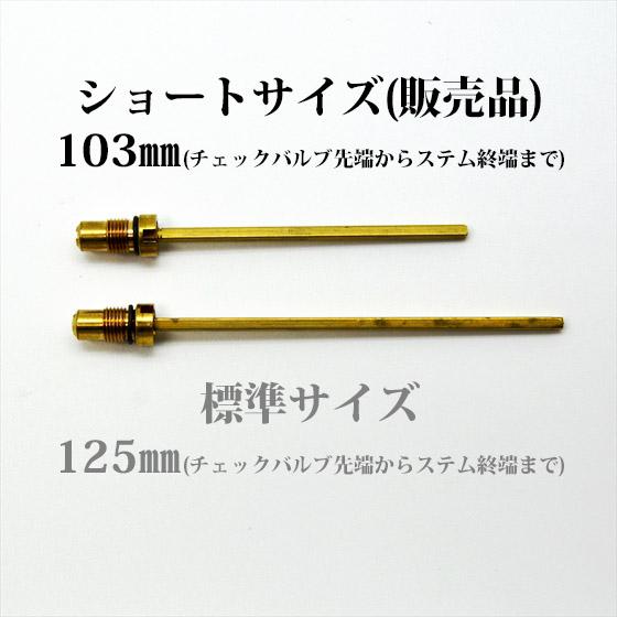 Coleman コールマン チェックバルブ エアーステム Coleman コールマン チェックバルブ エアーステム
