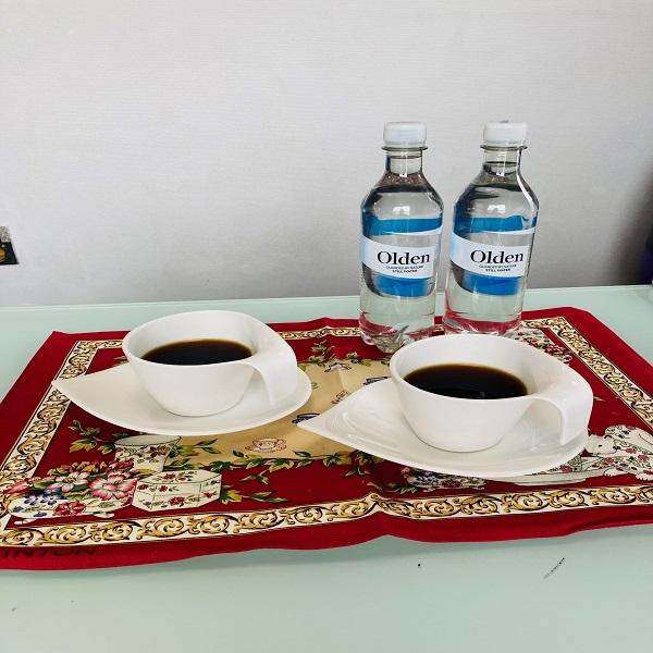 北欧 ノルウェー ミネラルウォーター 500ml 5本 5000ml 1本セット 送料