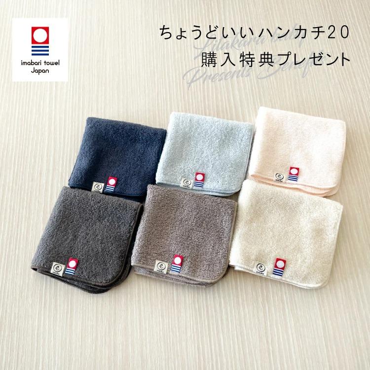 ボーネルンド（Bornelund） ＜ハンカチ特典＞ カラフルプルトーイ 木の