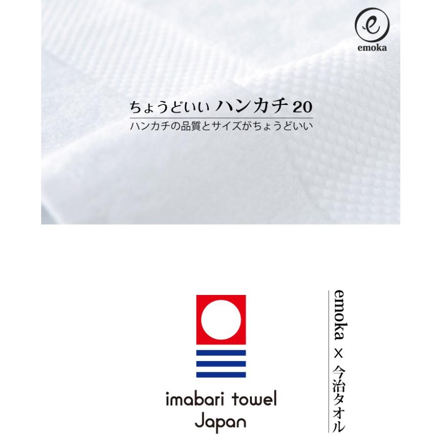 今治タオル（imabari towel） ハンカチ ちょうどいいハンカチ20 ハンド
