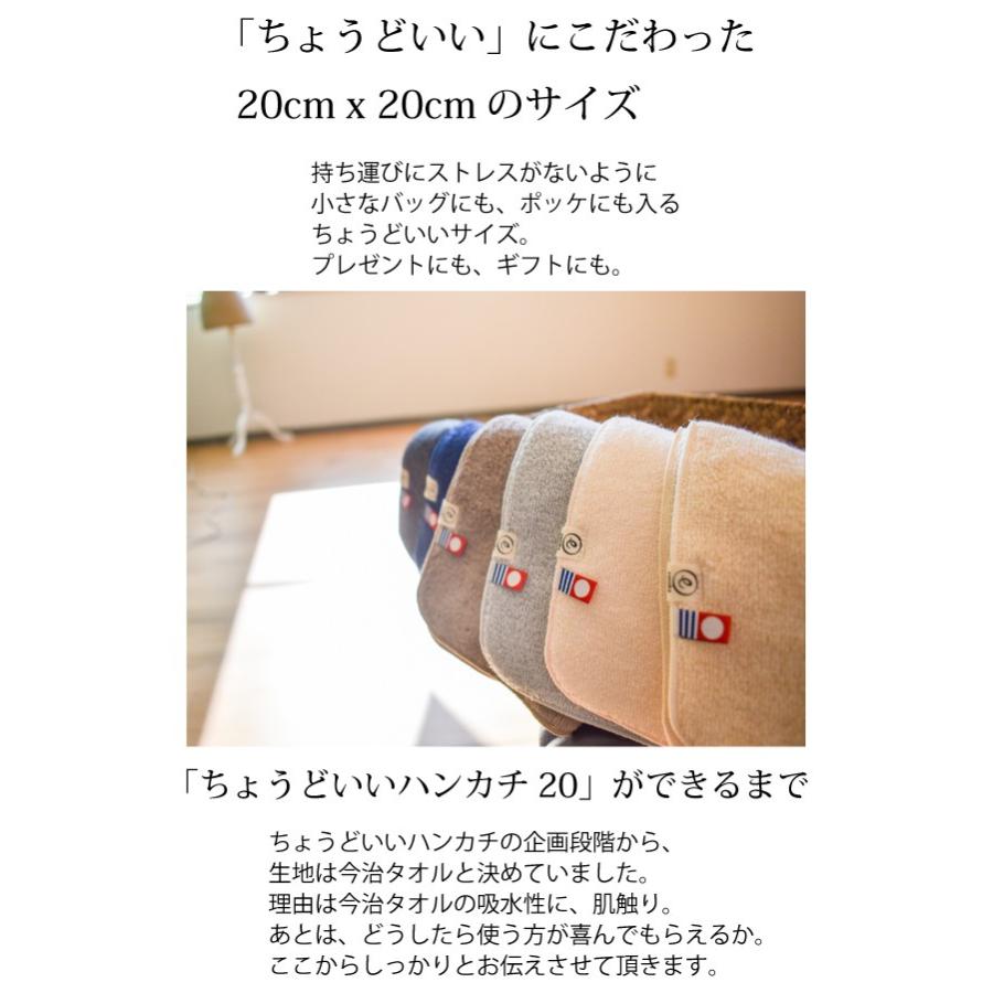 今治タオル（imabari towel） ハンカチ ちょうどいいハンカチ20 ハンド