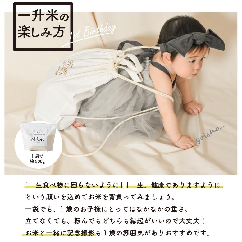 早割クーポン 一升餅 一升米 名入れ ナップサック リュック 一歳 誕生日 お祝い セット 小分け お名前 刺繍 500g 3 プレゼント 男の子 女の子 1歳 おしゃれ 体操服入れ Aynaelda Com