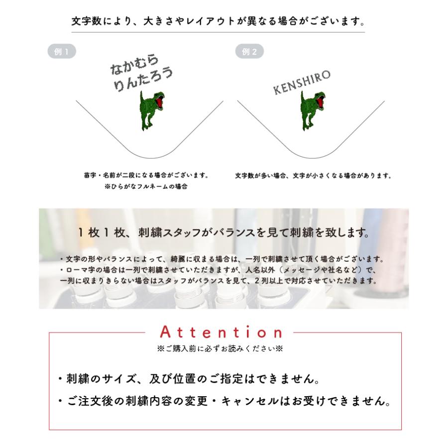 今治タオル ハンカチ 恐竜 昆虫 名入れ お名前 刺繍 ハンドタオル 20cm
