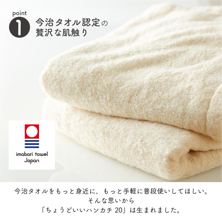 今治タオル（imabari towel） ハンカチ 恐竜 昆虫 名入れ お名前 刺繍