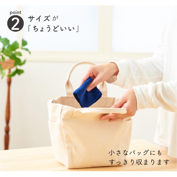 今治タオル（imabari towel） ハンカチ 恐竜 昆虫 名入れ お名前 刺繍