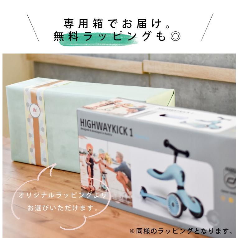 SCOOT AND RIDE スクート＆ライド ハイウェイキック3LED