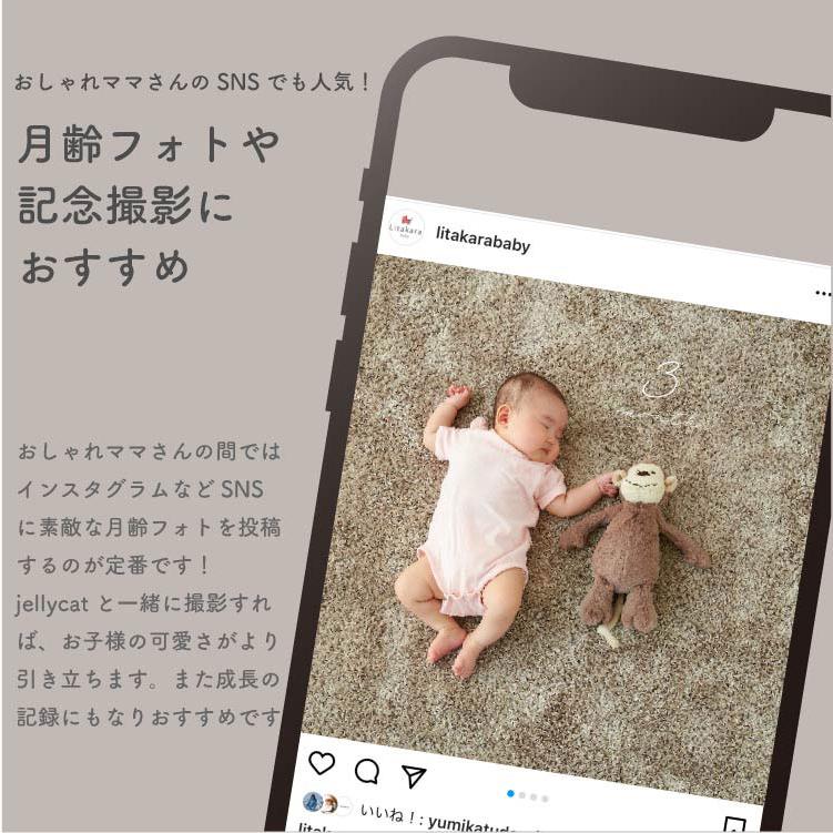 新作　新品　ジェリーキャット　クリスマス　サンタへの手紙　手紙　刺繍　ぬいぐるみ 新作 新品 ジェリーキャット クリスマス サンタへの手紙 手紙