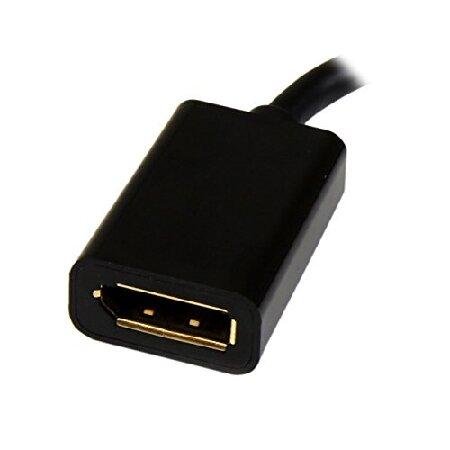 【並行輸入品】 StarTech.com Mini DisplayPort - DisplayPort 変換アダプタ/15cm/ディスプレイポート 1.2/4K60Hz/mDPオス - DPメス MDP2DPMF6IN | ブランド登録なし | 01