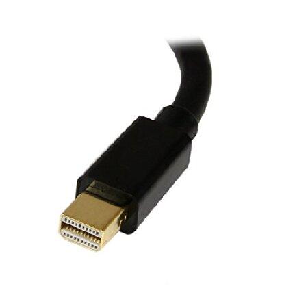 【並行輸入品】 StarTech.com Mini DisplayPort - DisplayPort 変換アダプタ/15cm/ディスプレイポート 1.2/4K60Hz/mDPオス - DPメス MDP2DPMF6IN | ブランド登録なし | 02