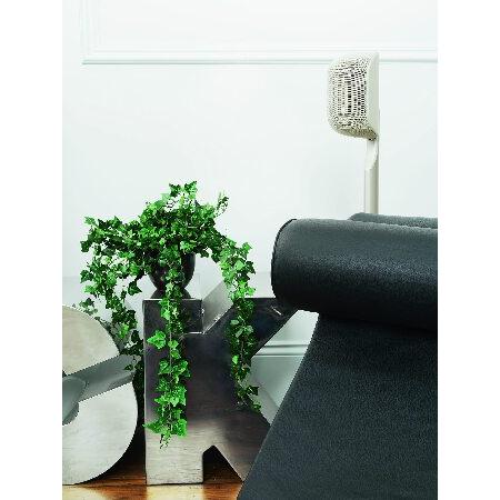 【並行輸入品】 Bowers ＆ Wilkins M-1 サテライトスピーカー - 4インチ グラスファイバー ミッドレンジ 1インチの画像