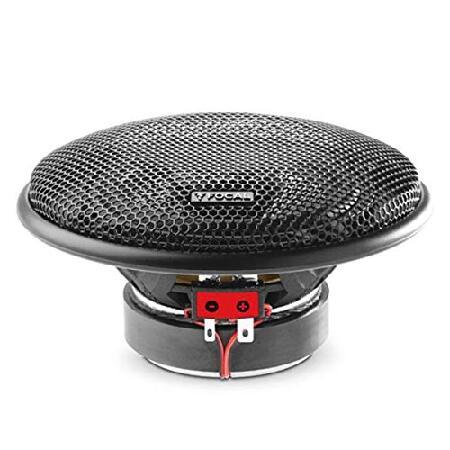 並行輸入品】 Focal 100 AC Access 4