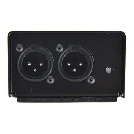 【並行輸入品】 Radial Two ChannelSB-48 Stagebug Phantom Power Supply by Radial Engineeringの画像