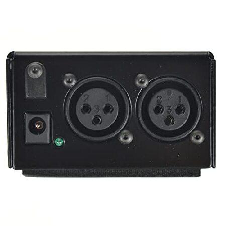 【並行輸入品】 Radial Two ChannelSB-48 Stagebug Phantom Power Supply by Radial Engineeringの画像