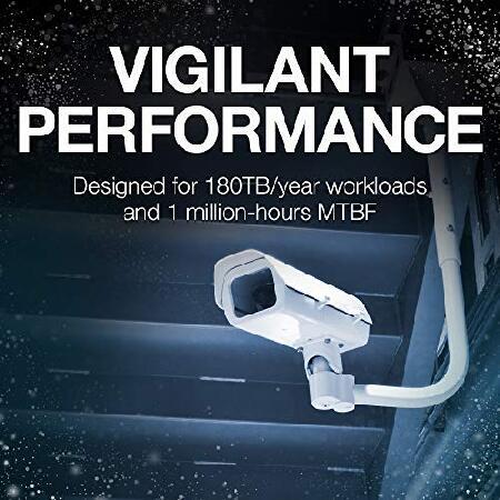 【並行輸入品】 Seagate SkyHawk 10TB Surveillance Hard Drive - SATA 6Gb/s 256MB Cache 3.5-Inch Internal Drive (ST10000VX0004)_4