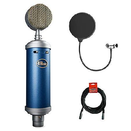 Blue Bluebird SL XLRケーブルとポップフィルター付き大型ダイヤフラム 