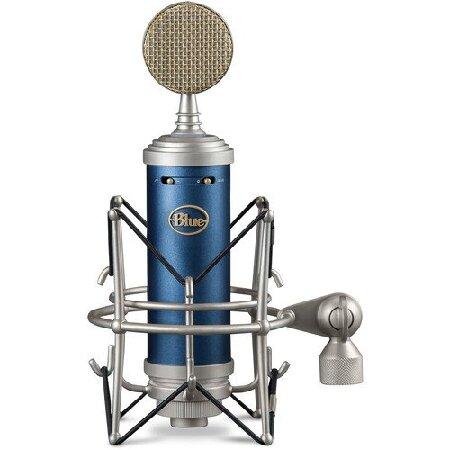 Blue Bluebird SL XLRケーブルとポップフィルター付き大型ダイヤフラム 