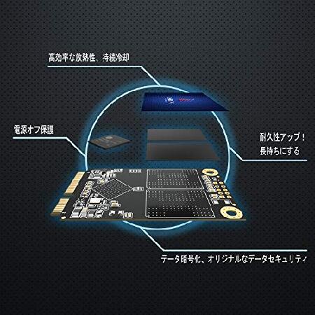 【並行輸入品】 Gamerking SSD msata 256GB内部ソリッドステートドライブデスクトップラップトップSATA3 6Gb / sミニPC用の高性能ハードドライブ（256GB、MSATA_1