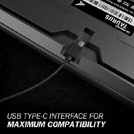 【並行輸入品】 Durgod Taurus K320 TKL メカニカルゲーミングキーボード - 87キー - ダブルショットPBT - NKRO - USB Type C (Cherry Speed Silver